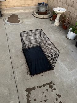 Foldable dog crate