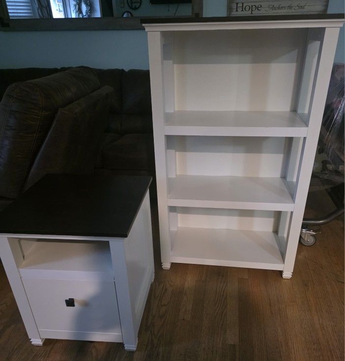 Bookcase and File Drawer