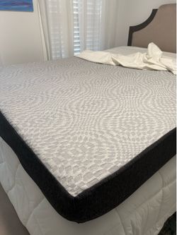 Free Sealy Mattress