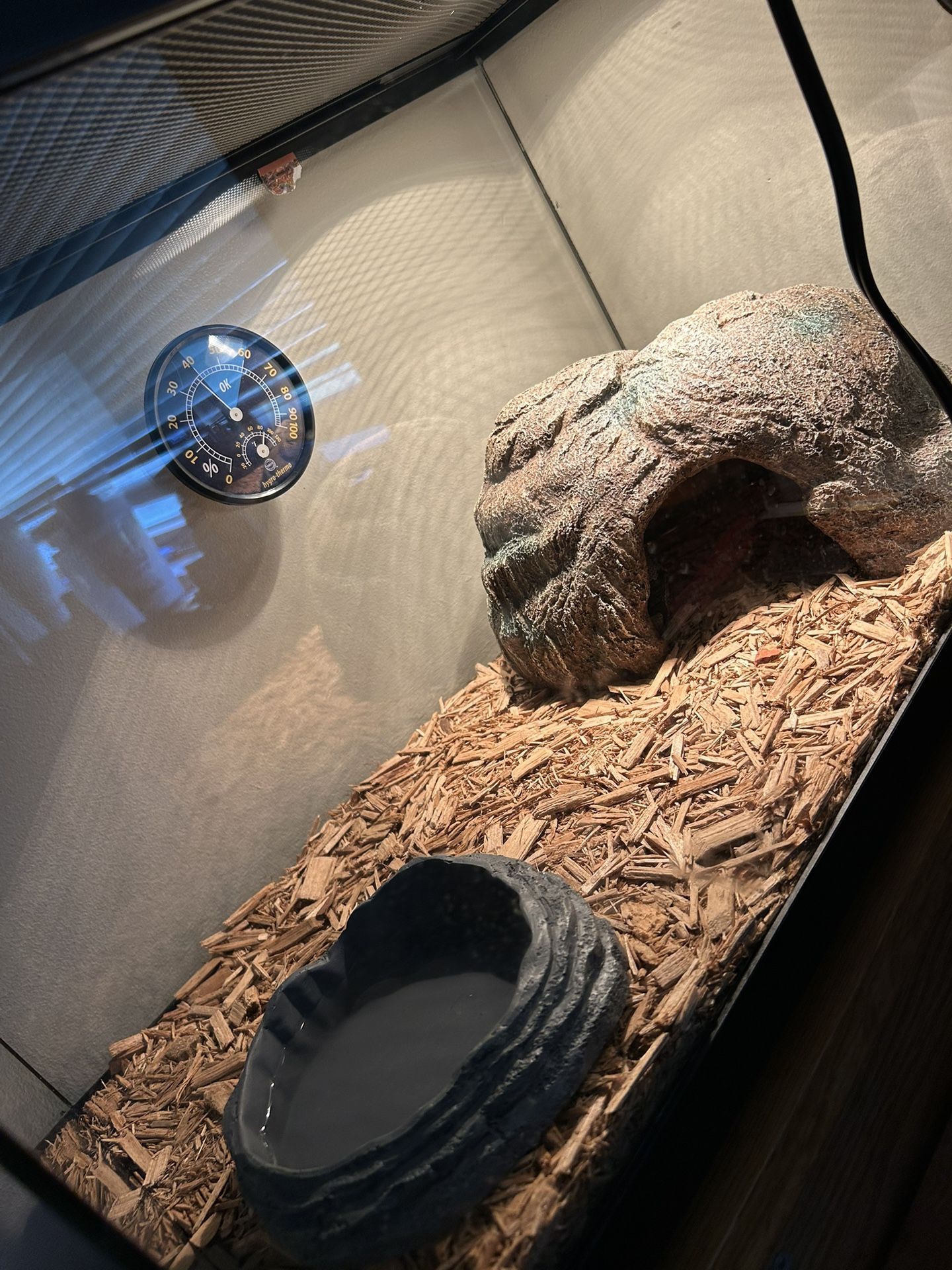 Python Terrarium