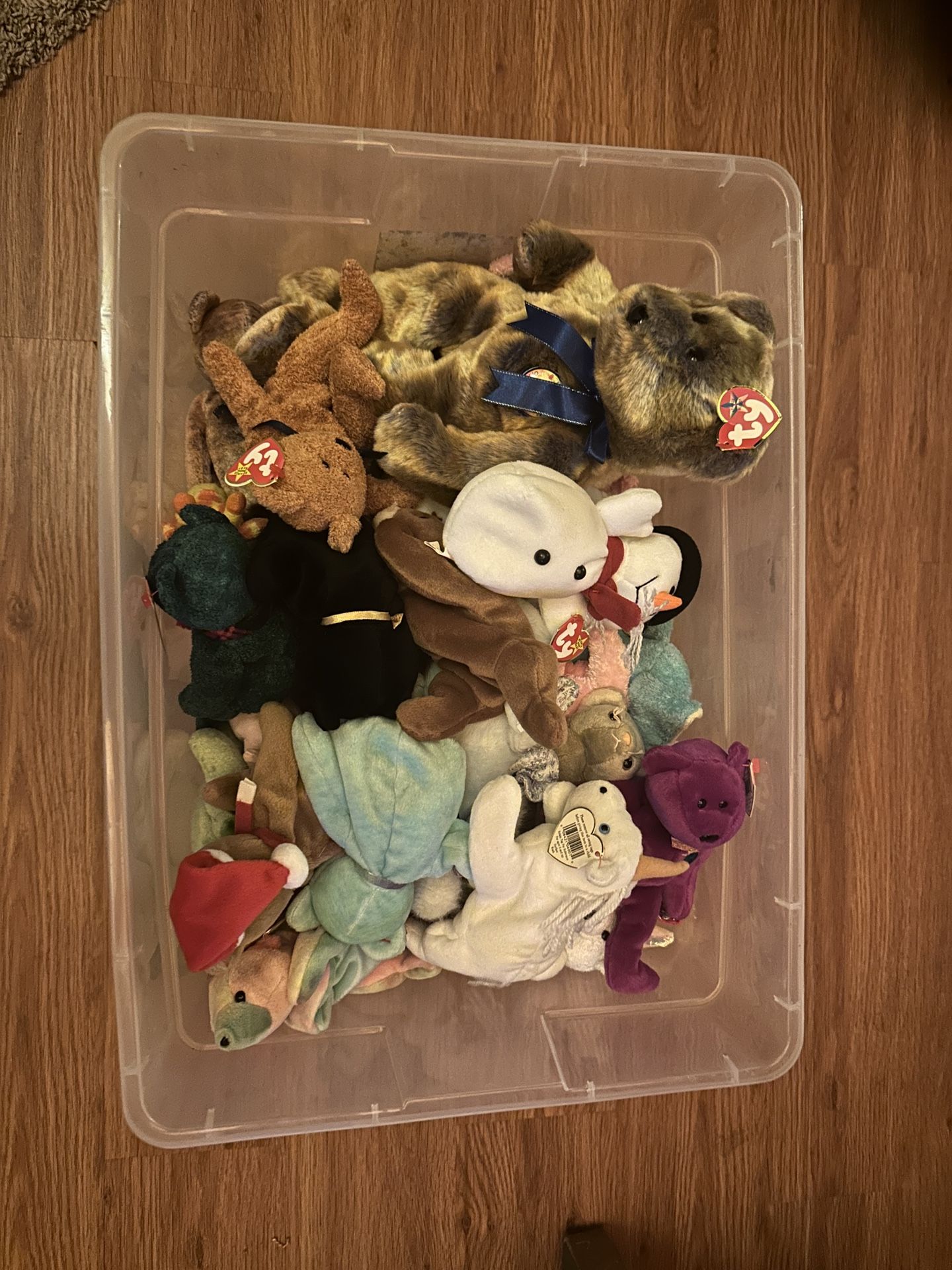 Whole Bin of TY Beanie Babies