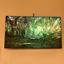 LG Oled 65 Inch 2019 B9