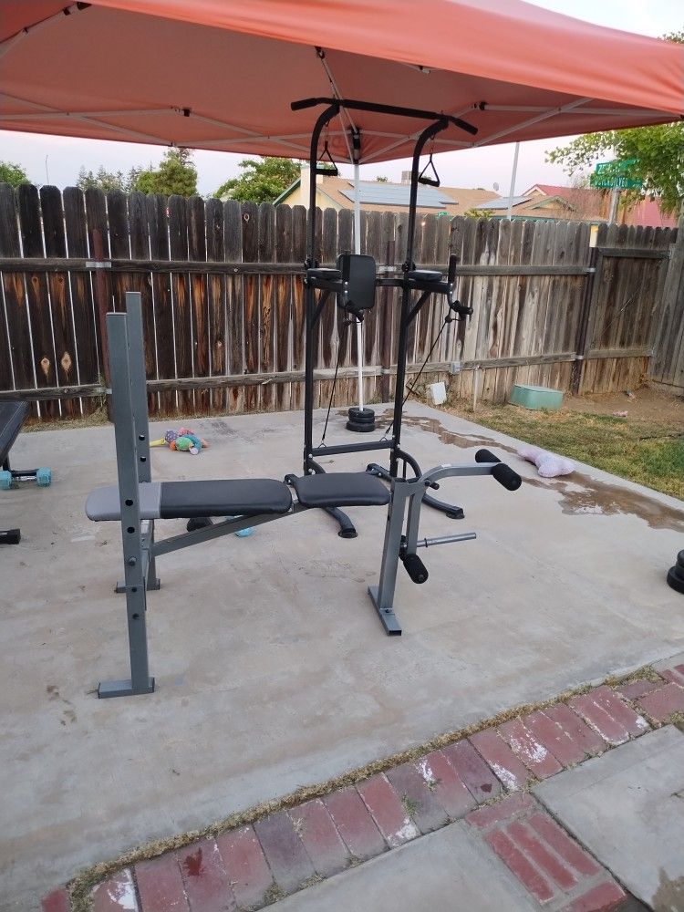 Pull-up Bar & Weight Bench