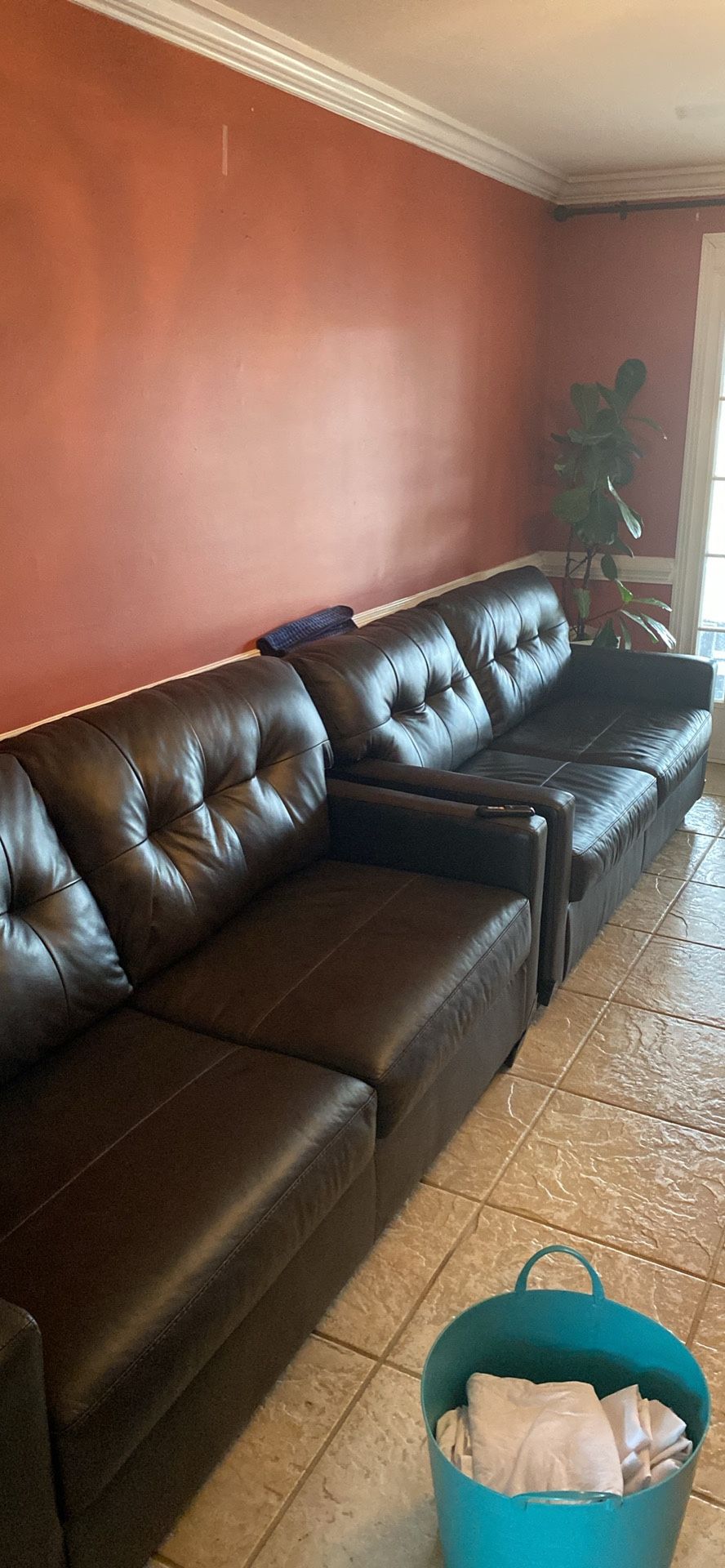 Two Leather Sofas