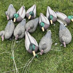 Mallard Duck Hunting Decoys