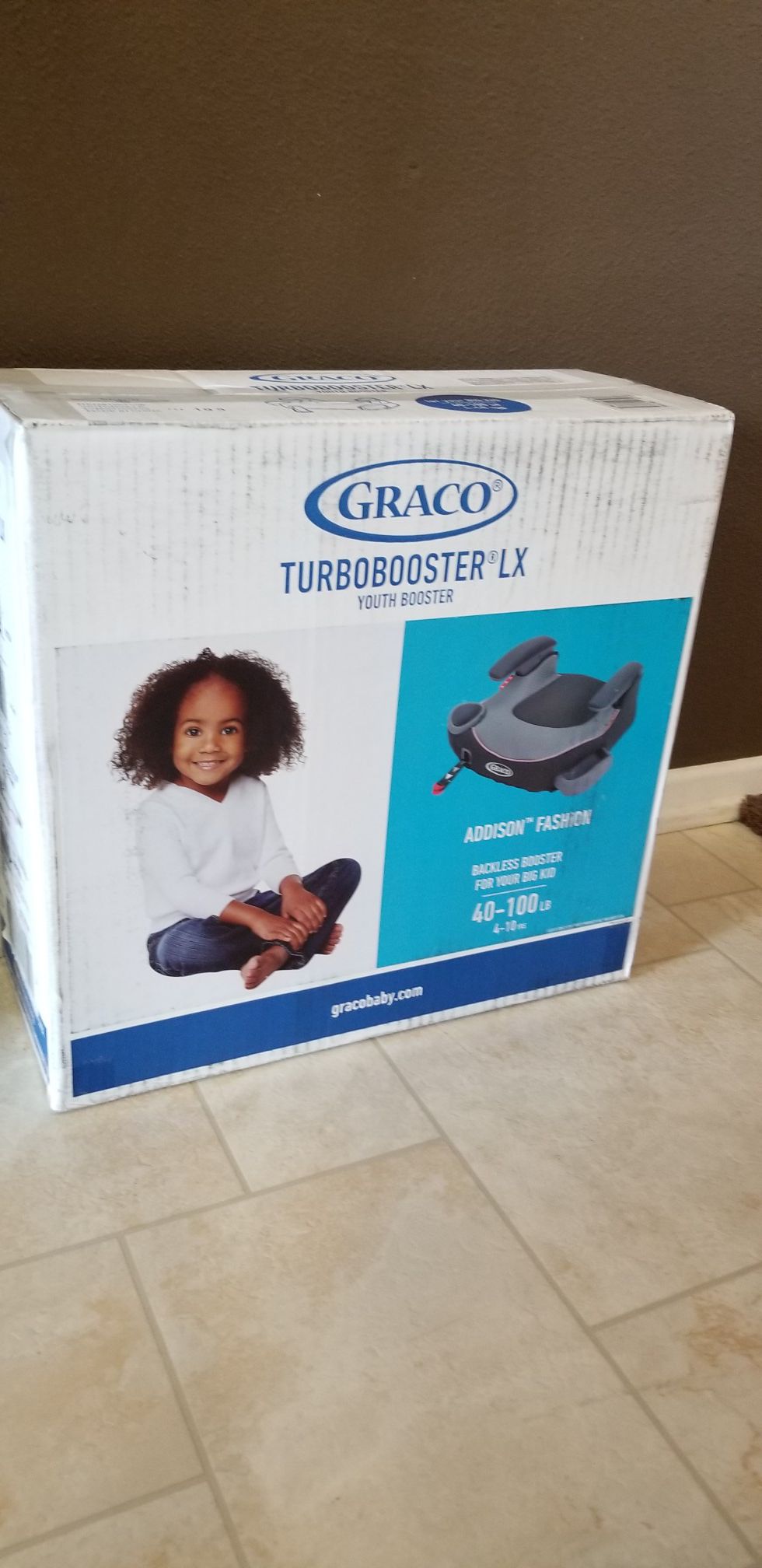 Carseat booster seat
