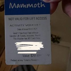 Mammoth Voucher