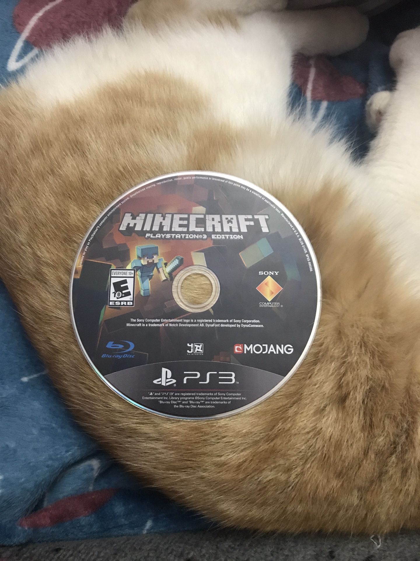 Minecraft PlayStation 3 Edition for Sale in Los Angeles, CA - OfferUp