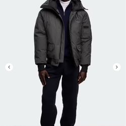 Canada goose Sz large