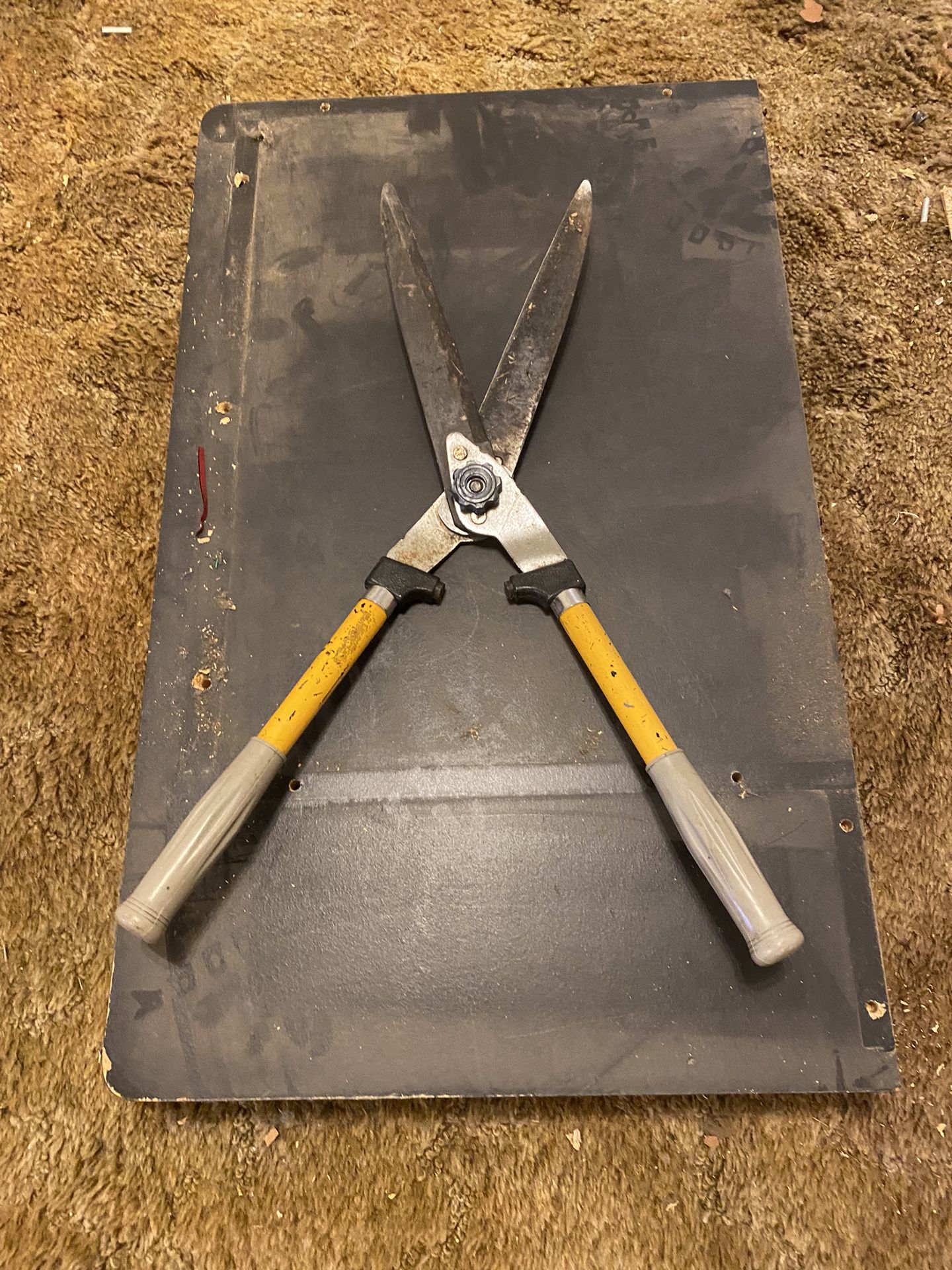 Scissors. Tojeras