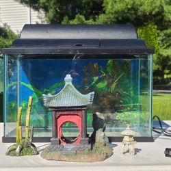 5.5 Gallon Aquarium/Terrarium With Light Fixture, Decorations,2-sided Background,Hang On Power Filter, Size16×8×10"