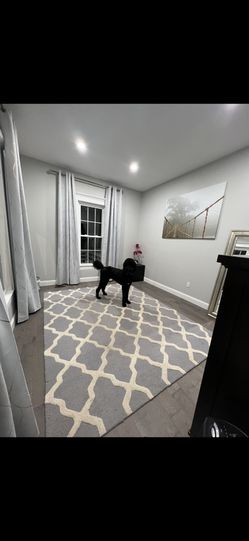 Rug 8 X 10