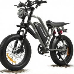 Electric Bike 1500W 