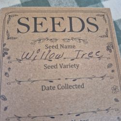 Semillas De Willow  Arbol Lilac