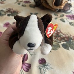 Bruno Beanie Baby 🐶 