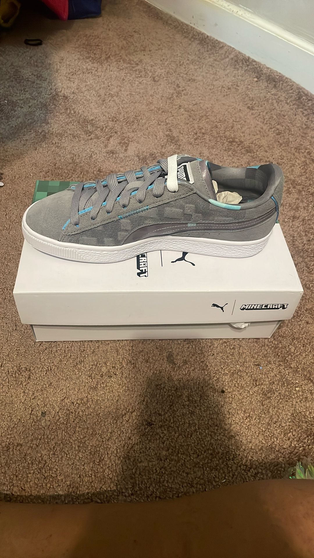 Minecraft Pumas