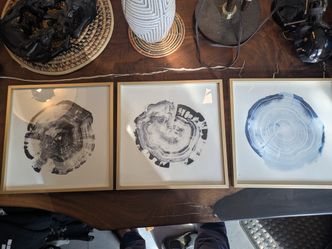 Gold Frames With Tree Prints