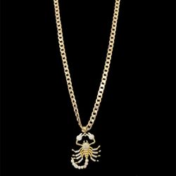 Scorpion With Chain
