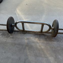 Curling Arm Weight’s 