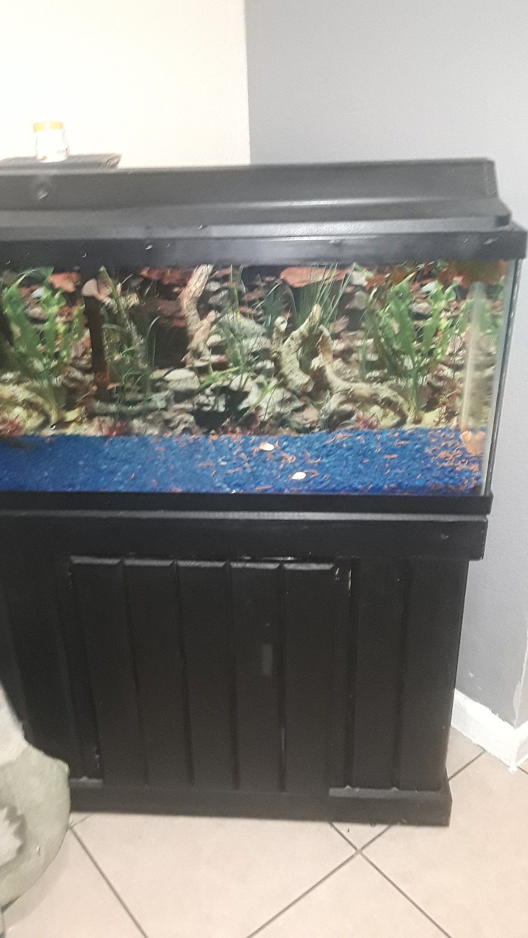 Fish tank 30 gallons
