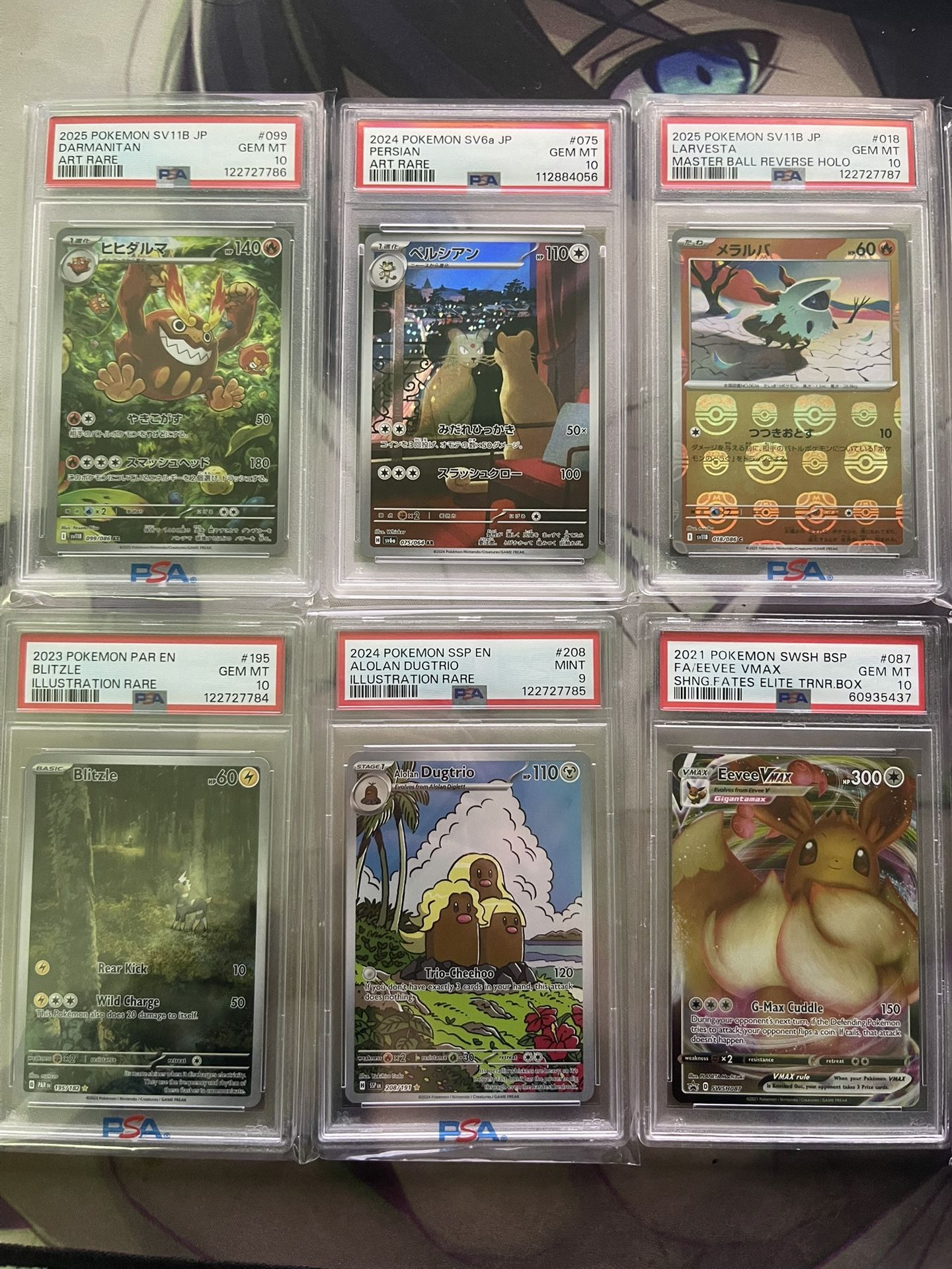 Pokemon Slab Sealed Singles Binder Vintage Etb Psa