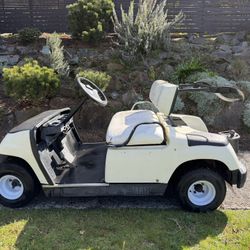 Lithium Golf Cart 