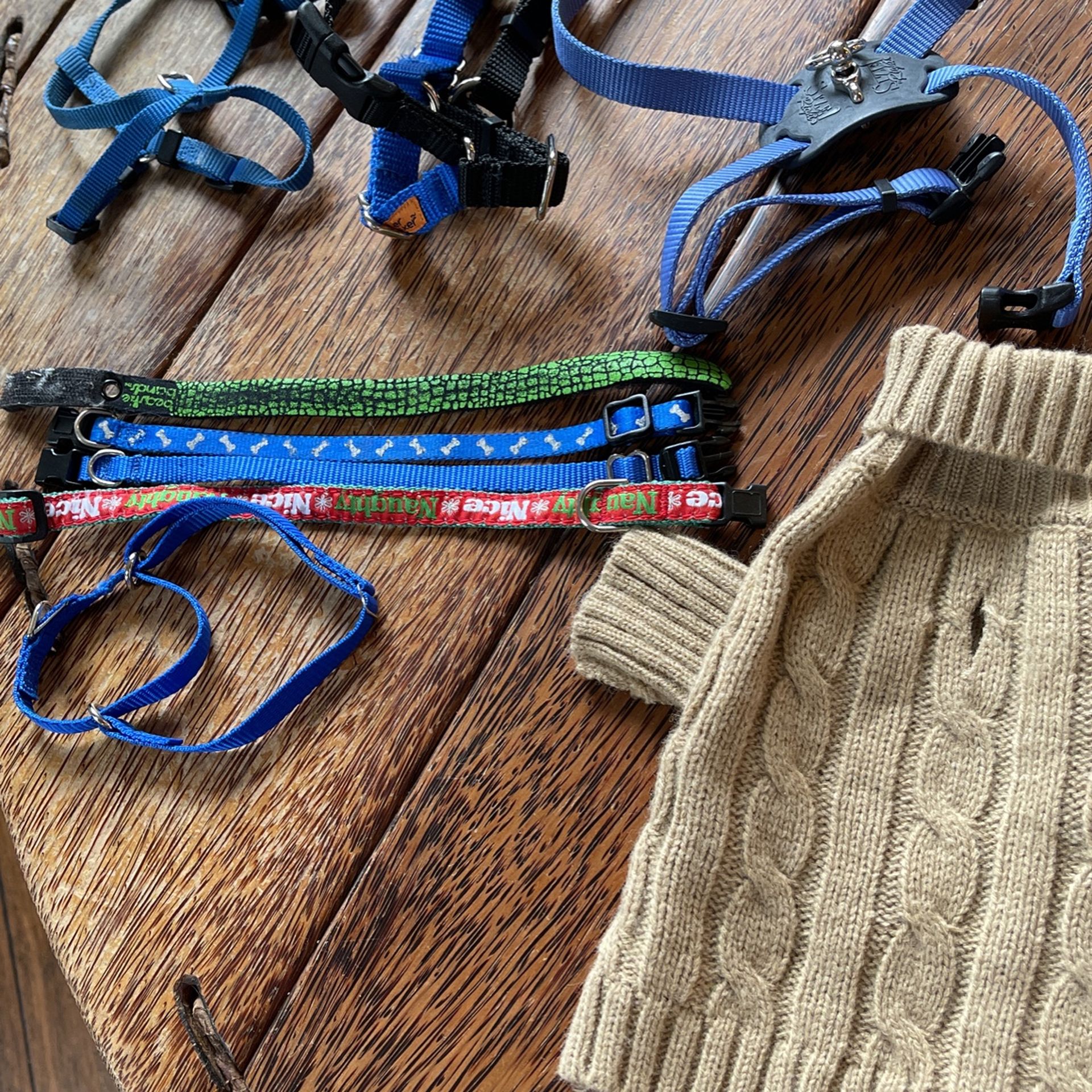 Small Dog Or Cat Collars And harnesses