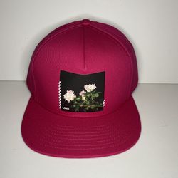 New With Tags Pink Vans Hat