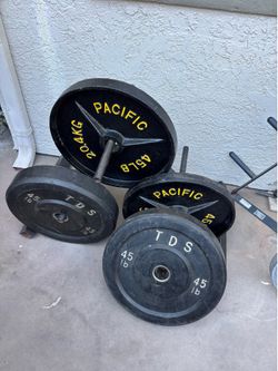 Olimpic weights 45 pounds plates.