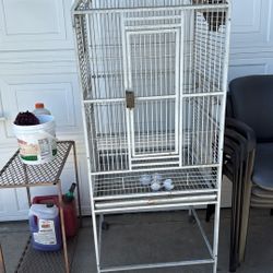 Bird Cage