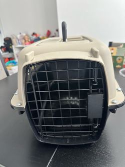 PET carrier
