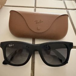 Ray Bans Meta 2