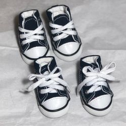 Dog Converse
