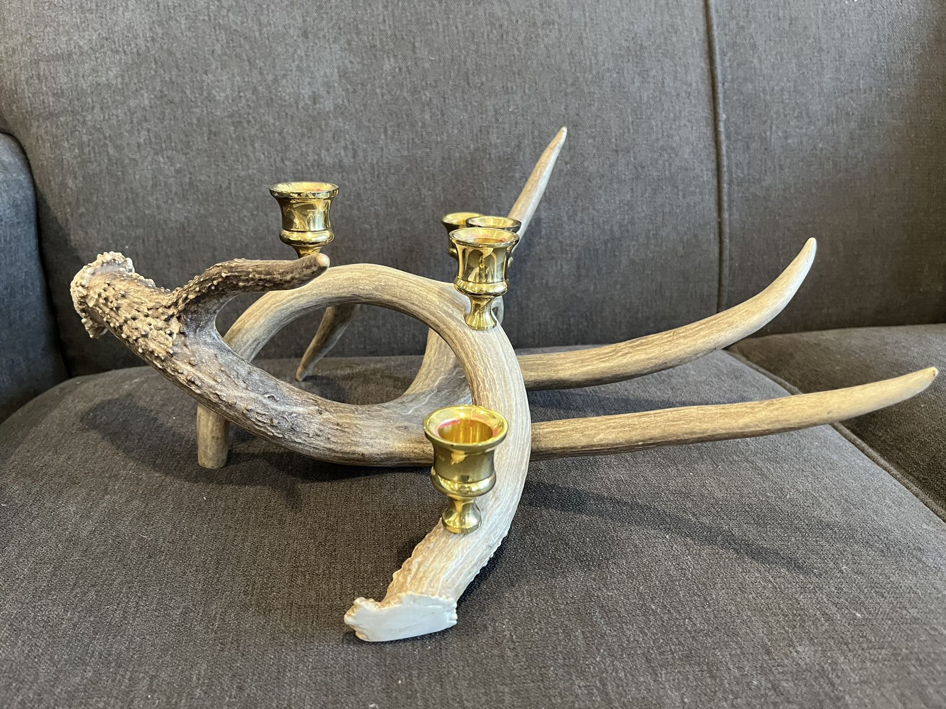 Antler And Brass Candle Holder