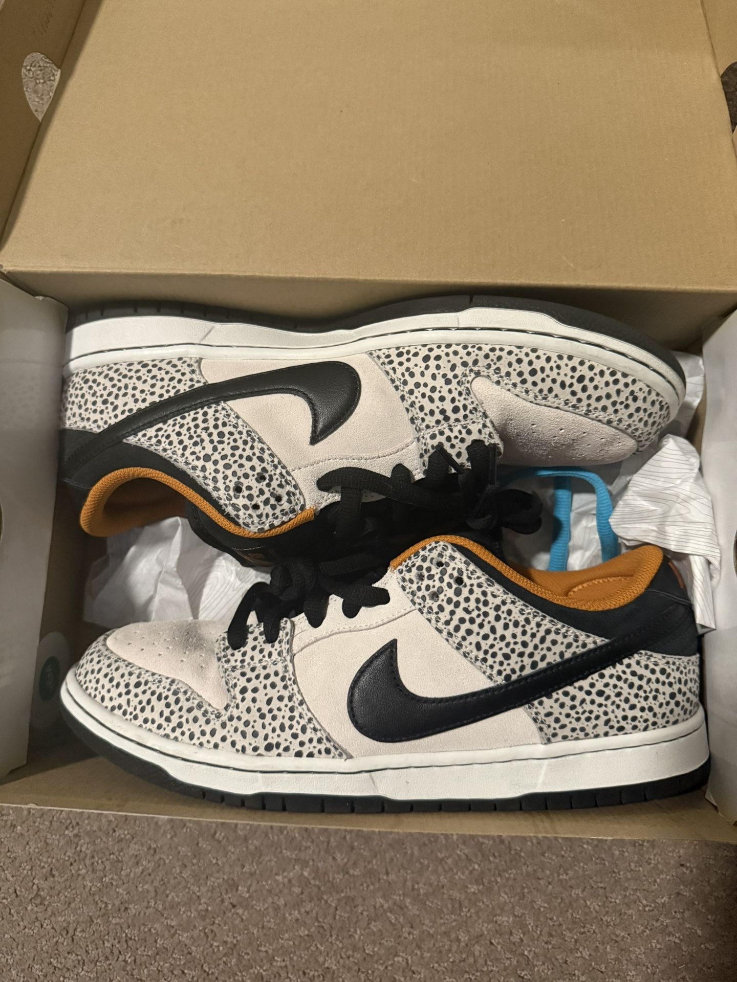 Safari SB “Electric Pack” Dunks (men’s 11.5)