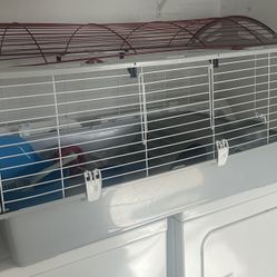 Ferret cage