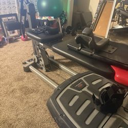 Blowflies ultimate 2