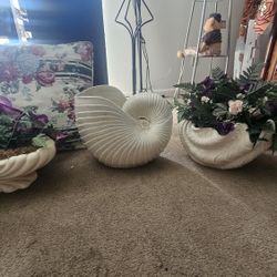 shells 