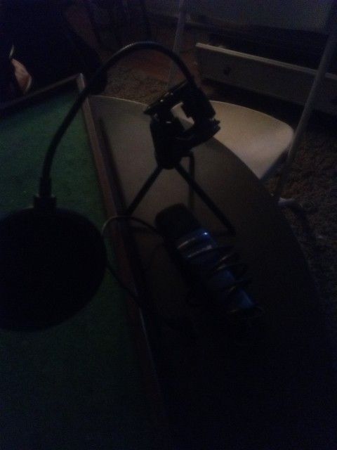 Microphone