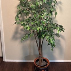 Faux Ficus Tree With Oriental Clay Pot