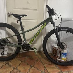 Specialized rock hopper sage green XS
