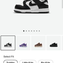 New Kids Nike Dunks