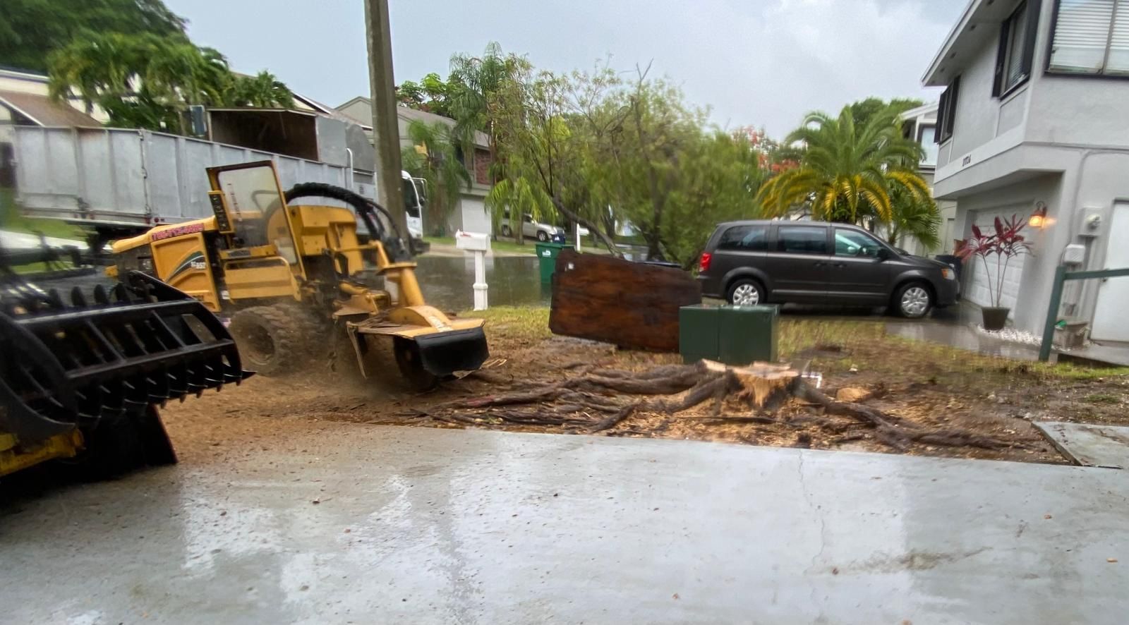 Stump Grinding