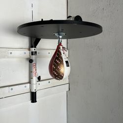 Speed bag And century Mount 