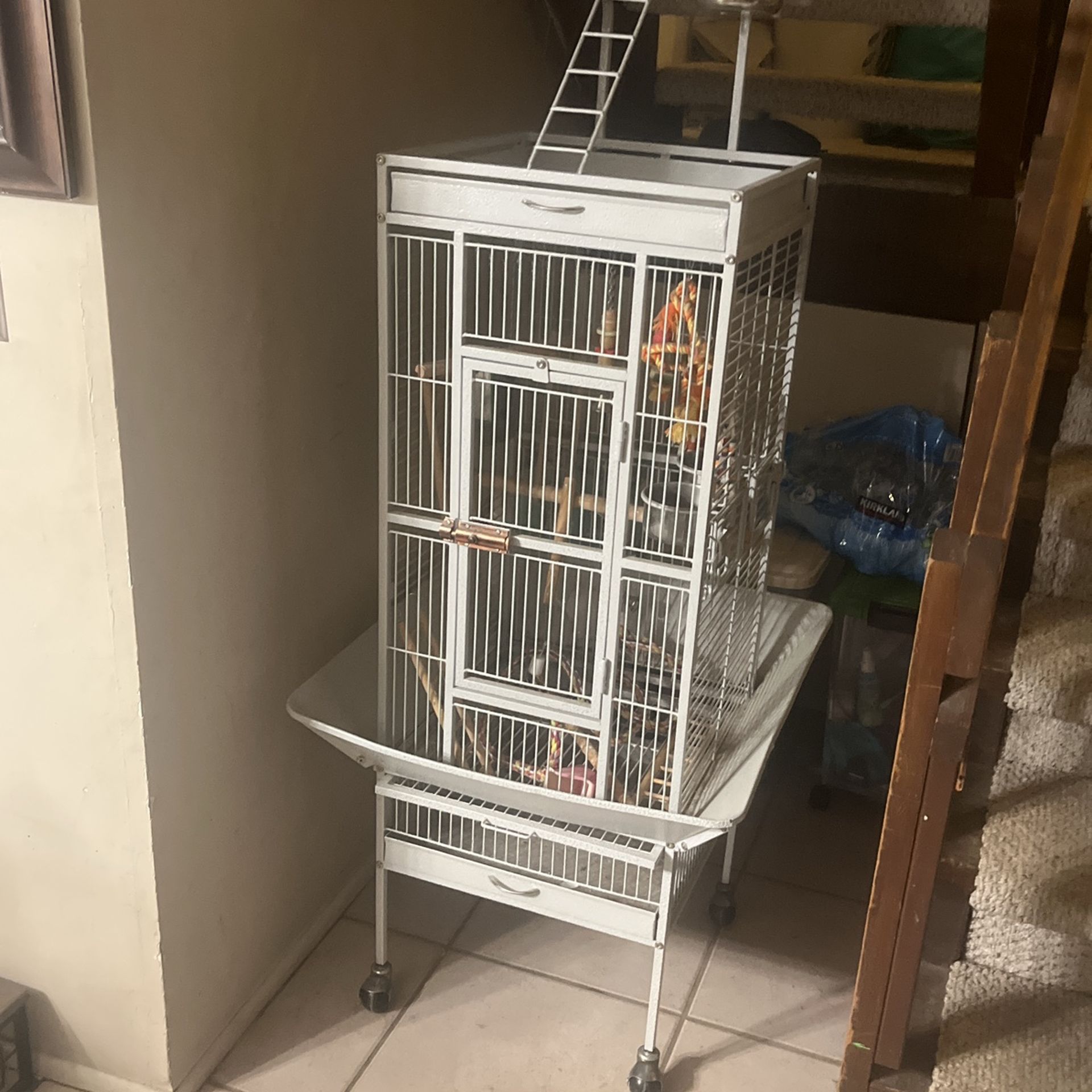 Bird Cage
