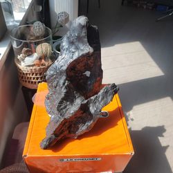Wooden Sculpture Carving Bonsai Decoration