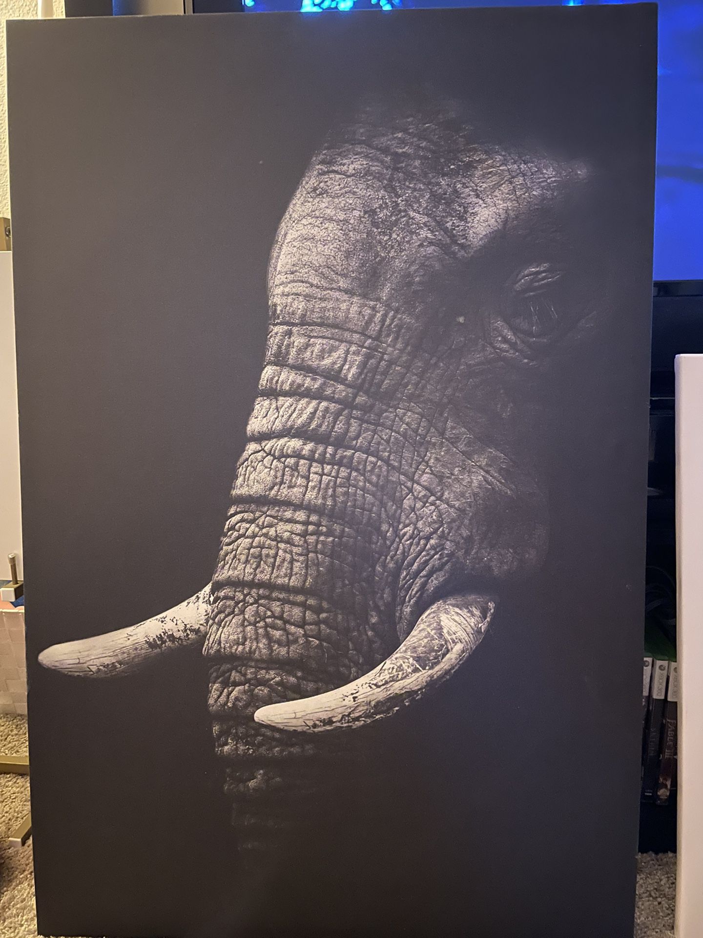 Large Canvas Elephant 