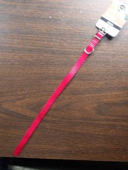 NEW Small Dog Collar (Red)