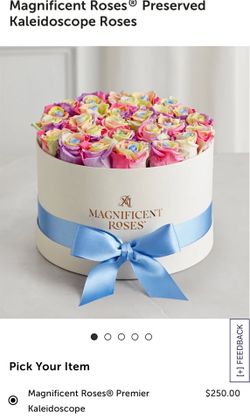 Magnificent Roses