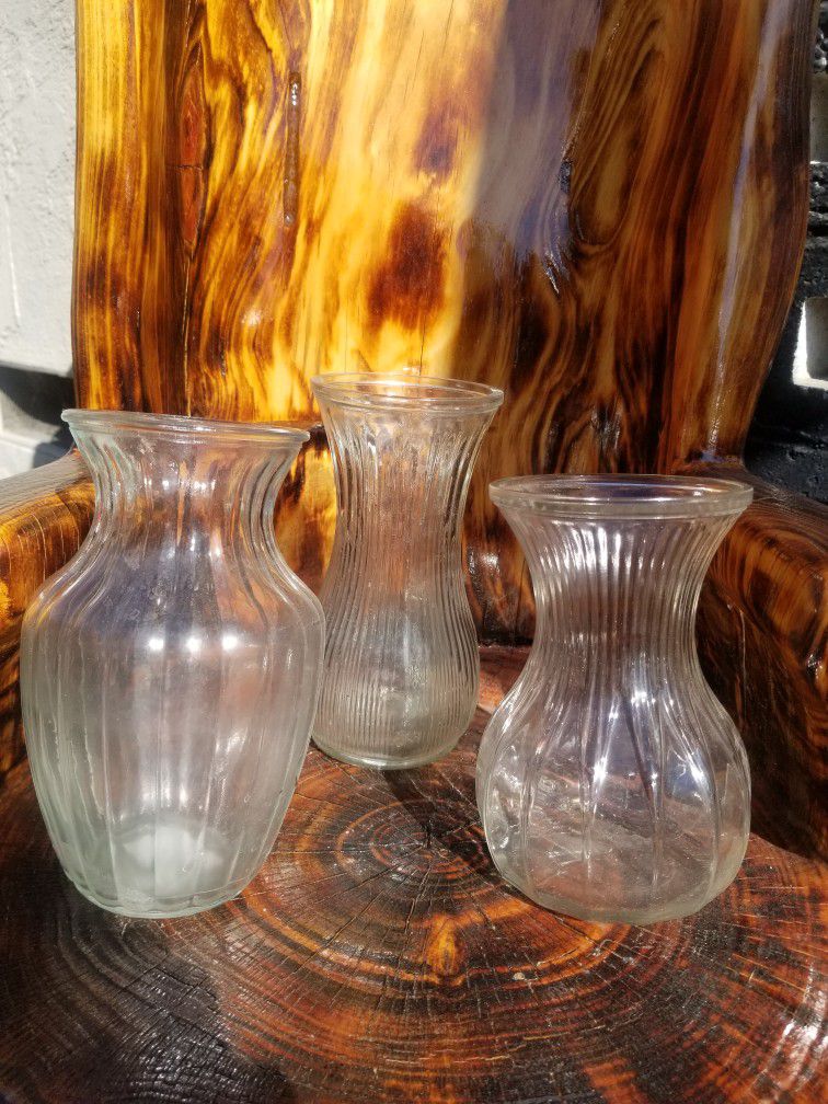 Glass Vases. $5 Each